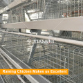 China Hersteller Baby Chicken Cage für Geflügel Farm